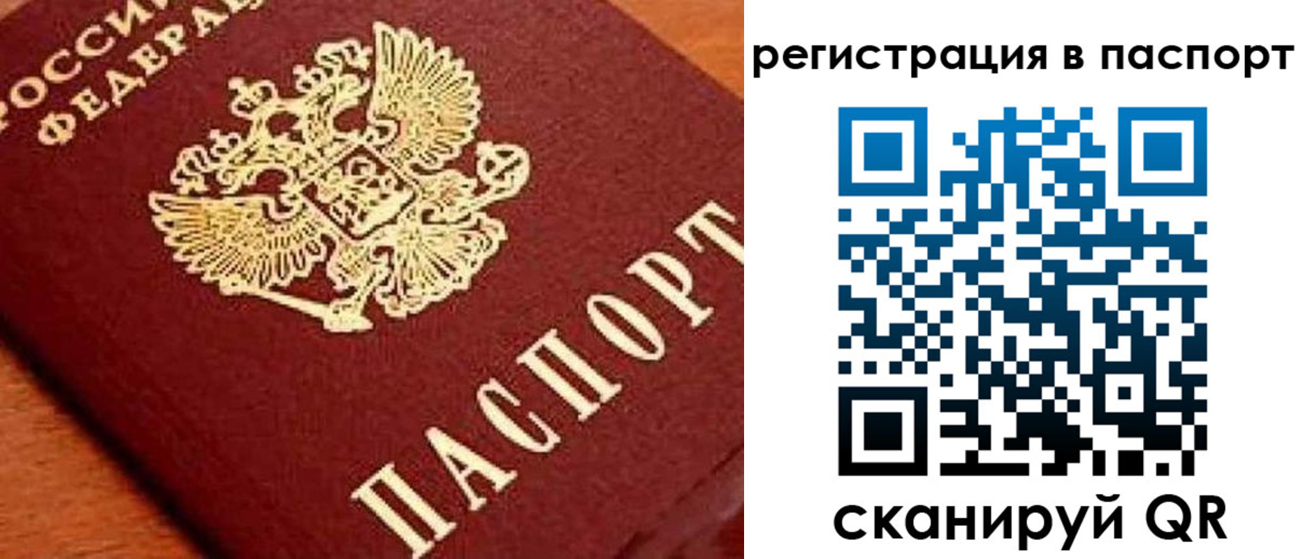 временная регистрация законно в Палласовке
